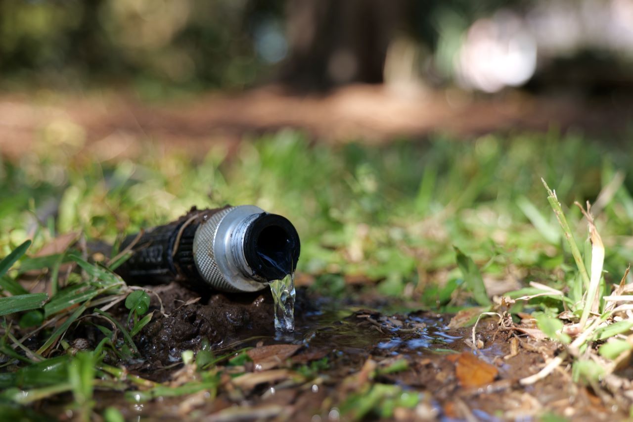 Get It Growing: It's Important to Water Your Trees Throughout the Year